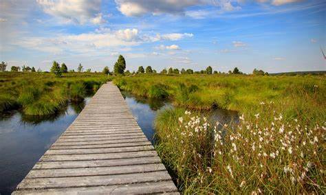 High Fens